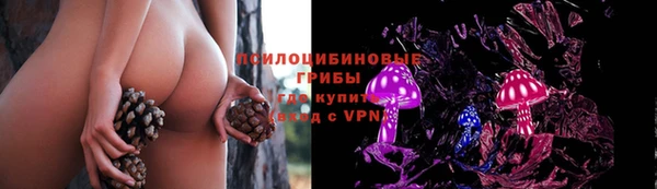 кокаин премиум Богородицк
