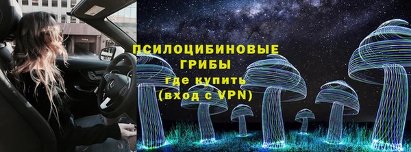 кокаин Богданович