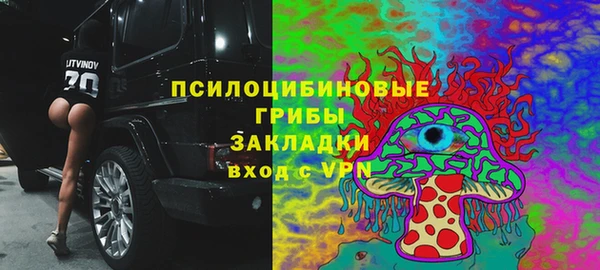 прущие крисы Богородск