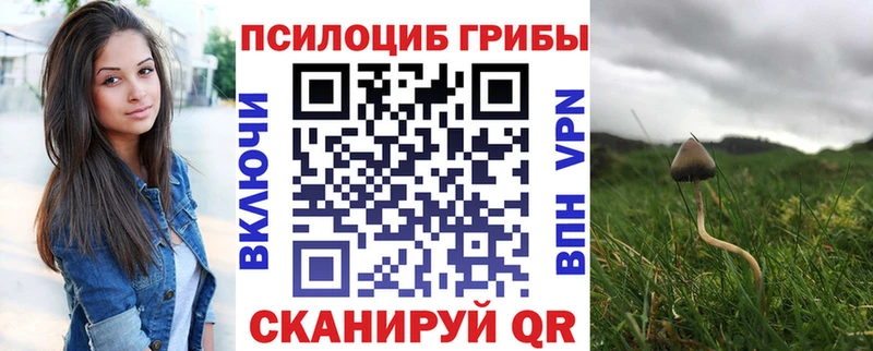 наркошоп  mega   Галлюциногенные грибы Psilocybe  Электроугли 