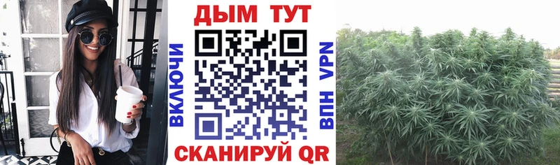 МАРИХУАНА план  Электроугли 
